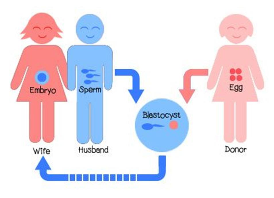 baby care